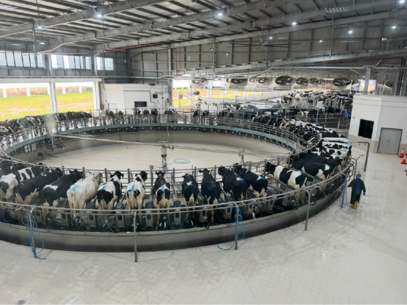 F&N AgriValley Rotating Milking Parlour & Dairy Factory Green Room.